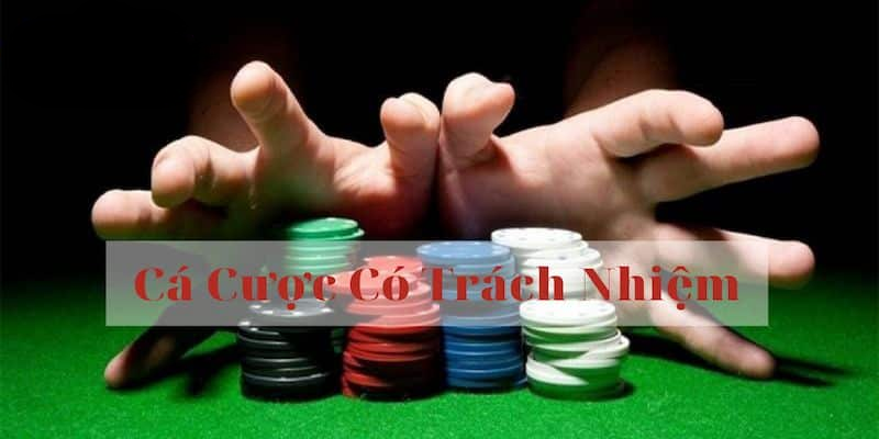 Tổng Hợp Các Quy Định Liên Quan Miễn Trừ Trách Nhiệm Go88 